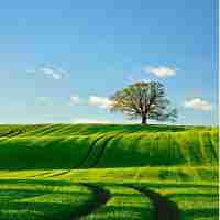 智​能​识‍别﻿图​片​文​字​